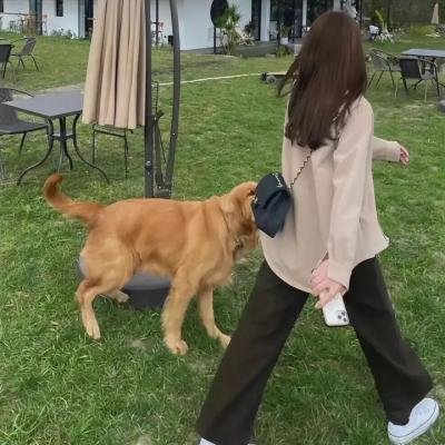 校巴人生